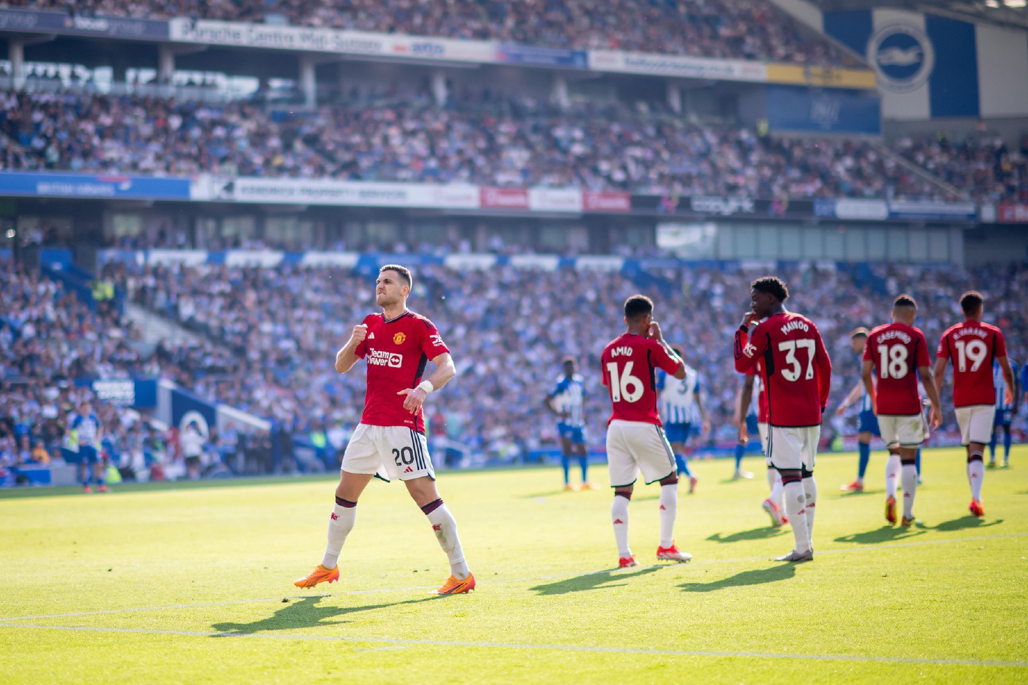 冷静地进行 冷静地进行